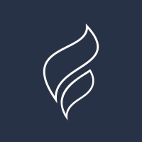 FLYNT Bank AG logo - Similar company to Springbrd