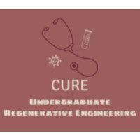 Competition For Undergraduate Regenerative Engineering (Cure)