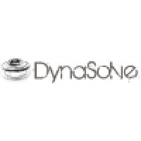 DynaSolve