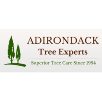 Adirondack Tree Experts