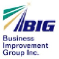 Business Improvement Group Turnaround Specialists