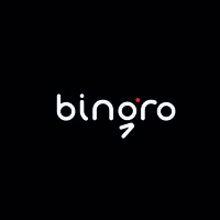 bingro logo - Similar company to Virostack