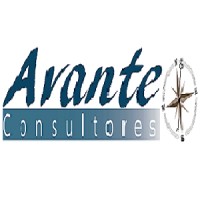 AVANTE Consultores logo - Similar company to Induvet