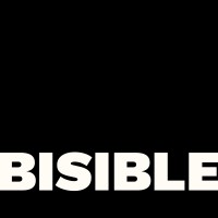 BISIBLE STUDIO logo - Similar company to Cm | Strategy And Design