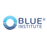 Blue Institute logo - Similar company to Jadualy
