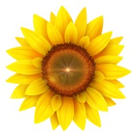 Apollo Energy logo - Similar company to Apollo Energy