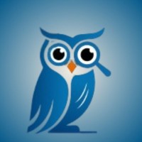 NaviOwl logo - Similar company to Evolved Workday Consulting