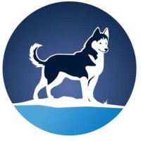 Nation North Insurance logo - Similar company to Public And Patient Engagement Collaborative, Mcmaster University