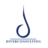 DIVERCONSULTING Srl logo - Similar company to Studio Novellino