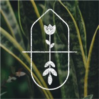 PlantShed New York Flowers logo - Similar company to Alisa Maxime Studio