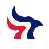 Loigica logo - Similar company to Black Sheep Technology