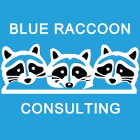 Blue Raccoon Consulting logo - Similar company to Claimsolve, Inc.