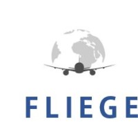 Fliege Consulting Services logo - Similar company to Risolv Consulting Services