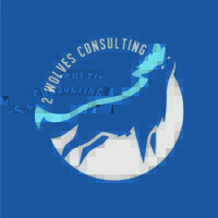 2 Wolves Consulting, PBC logo - Similar company to Case Leadership