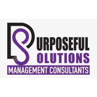 P.S. Management Consultants Ltd. logo - Similar company to Velocity Digital