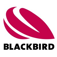 Blackbird Robotics logo - Similar company to 4D Photonics Gmbh