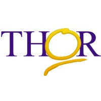 Thor Mentoria e Desenvolvimento Humano logo - Similar company to O Líder Patrão - Treinamento E Mentoria