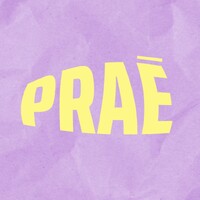 Praē logo - Similar company to Payfast