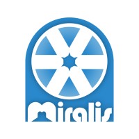 Miralis Engineering Ltd. logo - Similar company to Ases Group