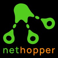 Nethopper logo - Similar company to Icrm Systems