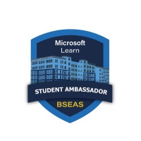 MLSA Chapter - BSEAS Islamabad logo - Similar company to Biswal Grapiko Studios