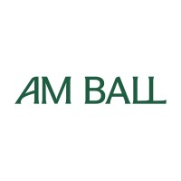Am Ball logo - Similar company to Amballcom