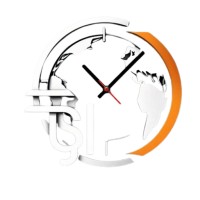 Temp Service International logo - Similar company to Topcon Positioning Ireland
