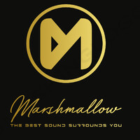 Marshmallow Audio logo - Similar company to Marshmallow Jetpack