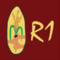 Rice Watch Action Network, Inc. logo - Similar company to Insight Physicians Care, Llc
