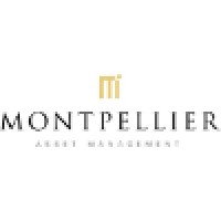 Montpellier Asset Management Limited logo - Similar company to Scl Group