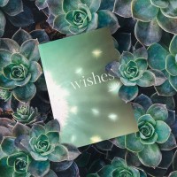 Wishes logo - Similar company to Catalyst Ai