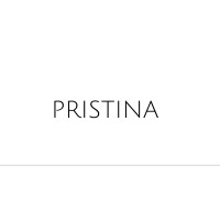 Pristina logo - Similar company to Pristina Ai