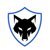 Vigilant Solutions Group logo - Similar company to Vigilant Security Llc