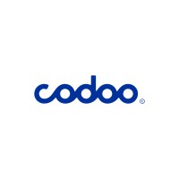 Codoo logo - Similar company to Ibs