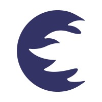 Cronz Limited logo - Similar company to Snipelus Technologies
