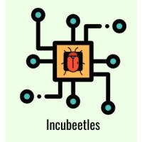 INCUBEETLES logo - Similar company to Hobosx | Ai & Transformation Consulting
