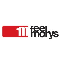 Feel Morys logo - Similar company to Ecointeractive