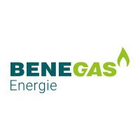 BENEGAS Belgium logo - Similar company to Febupro