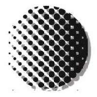 NFTory logo - Similar company to Clb Coach