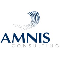 AMNIS Consulting logo - Similar company to Espace A.Bell - Coworking Dans L'Ame