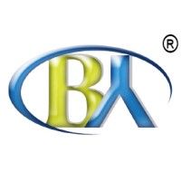 Boya Automobile Electric Appliance Co., Ltd. logo - Similar company to Etrucksystems.Pl Sp. Z O.O.