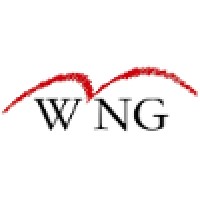 Wireless Network Group logo - Similar company to Alpha Omega Wireless, Inc.