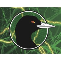 Coots Lures logo - Similar company to Ontopangling