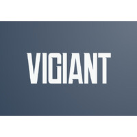 Vigiant LTD logo - Similar company to The Learning Partnership