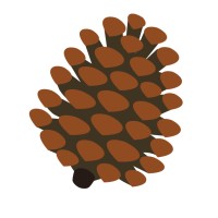 Pynekone logo - Similar company to Biotesting Inc / Home Biotesting