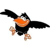 Raven Oilfield Rentals logo - Similar company to Central Optimization Ltd