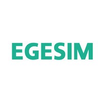 Egesim GmbH logo - Similar company to Drk Automation Ltd. Co.