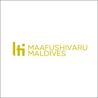 lti Maafushivaru, Maldives logo - Similar company to Artistic