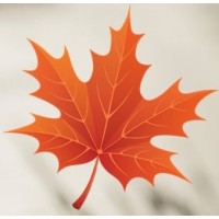 NGE logo - Similar company to Nge