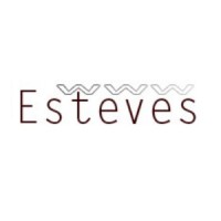ESTEVES logo - Similar company to Esteves Consulting